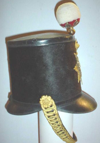 CHCRS O308.38 Officer’s Albert Shako C1844