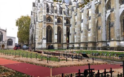 Armistice Day – Field of Remembrance Westminster