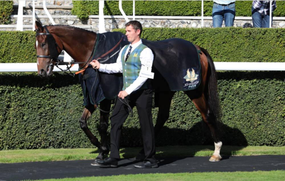 Sussex Races Goodwood 2021 | The Royal Sussex Regiment