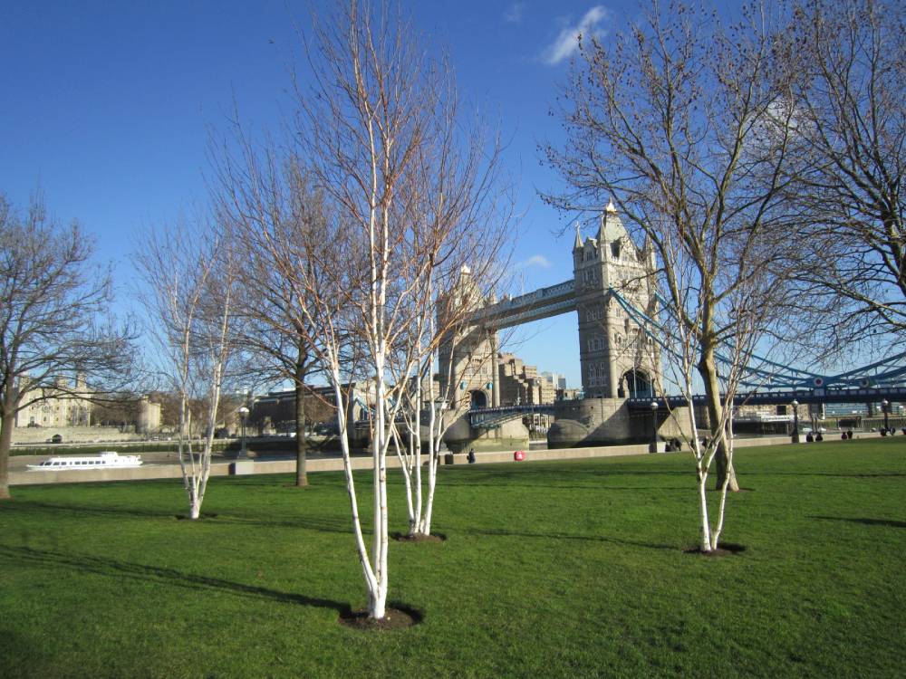 Potters Field Park